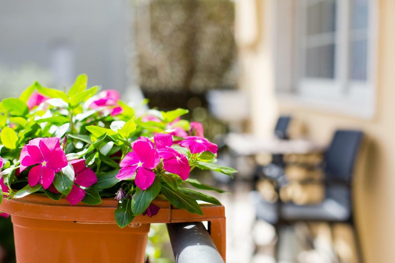 B&B Le City Montesilvano Marina Kültér fotó